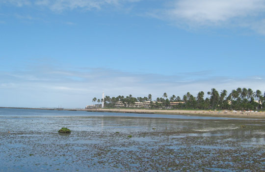 Farol da Praia do Forte - Madalena Apart